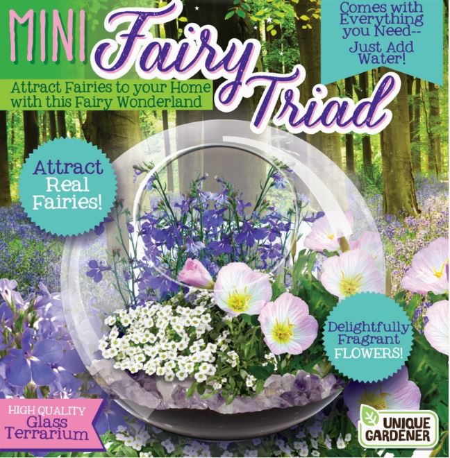 Mini Fairy Triad Glass Terrarium