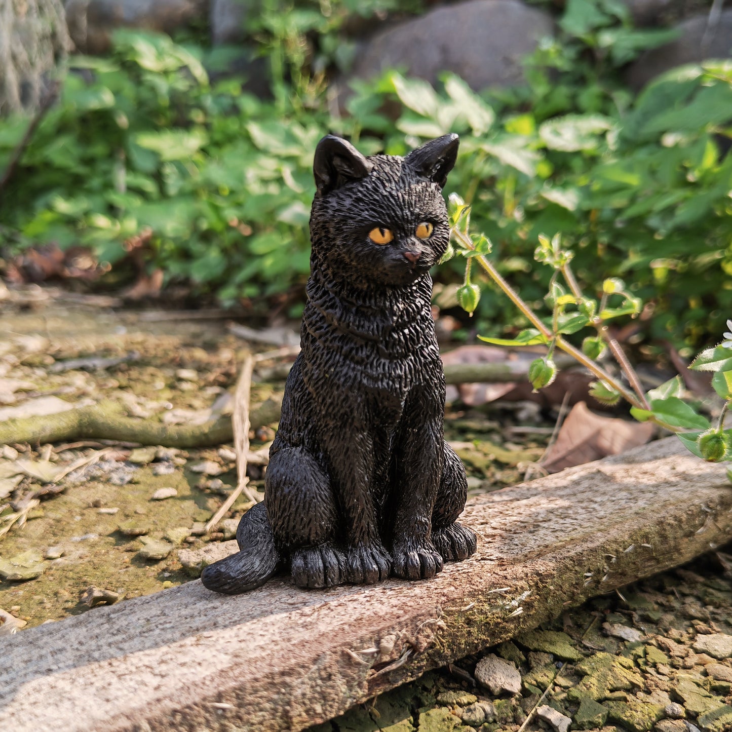 Miniature Black Cat