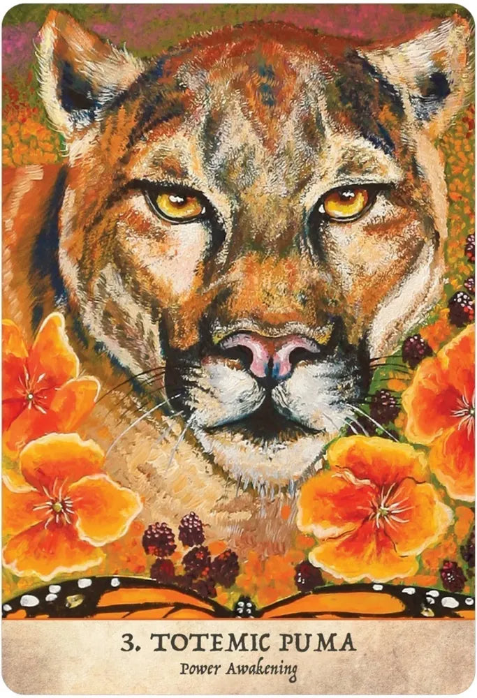 Earth Warriors Oracle Deck