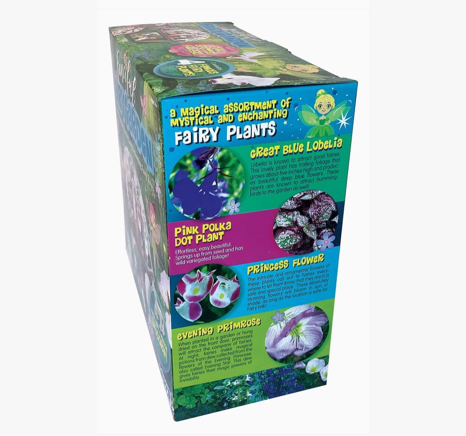Fanciful Fairy Garden Terrarium Kit