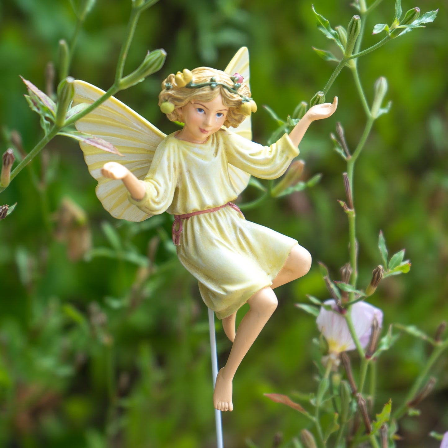 Flower Fairy White Bryony