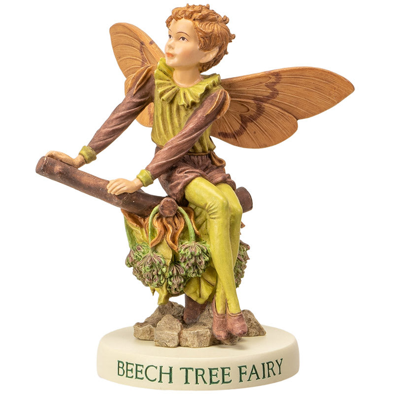 Flower Fairy Beech Tree