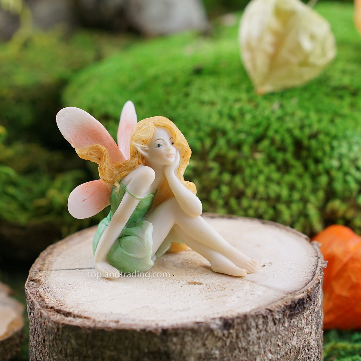 Fairy Daydreaming