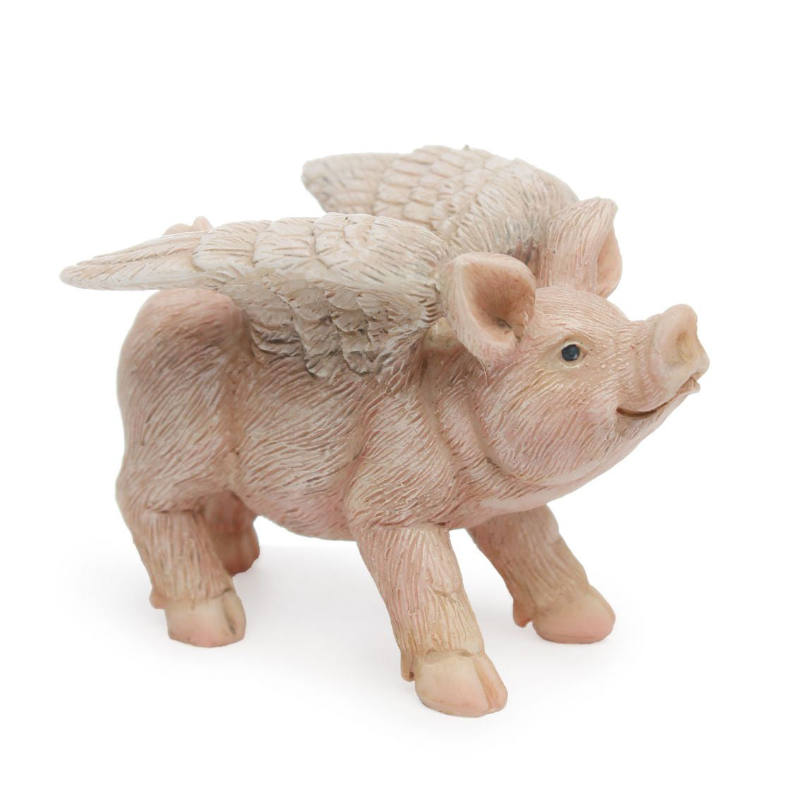 Flying Pig