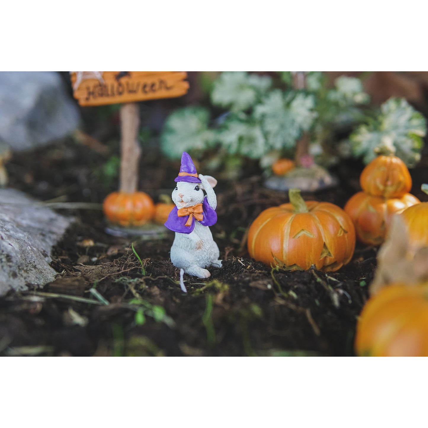 Bunny in Witch Costume