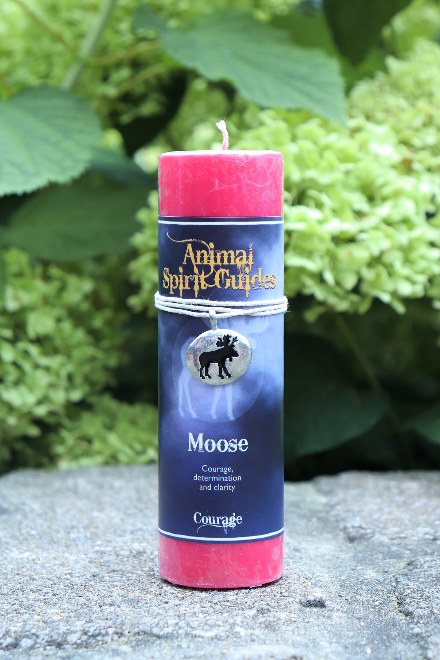 Animal Spirit Guides Candle ‧ Moose