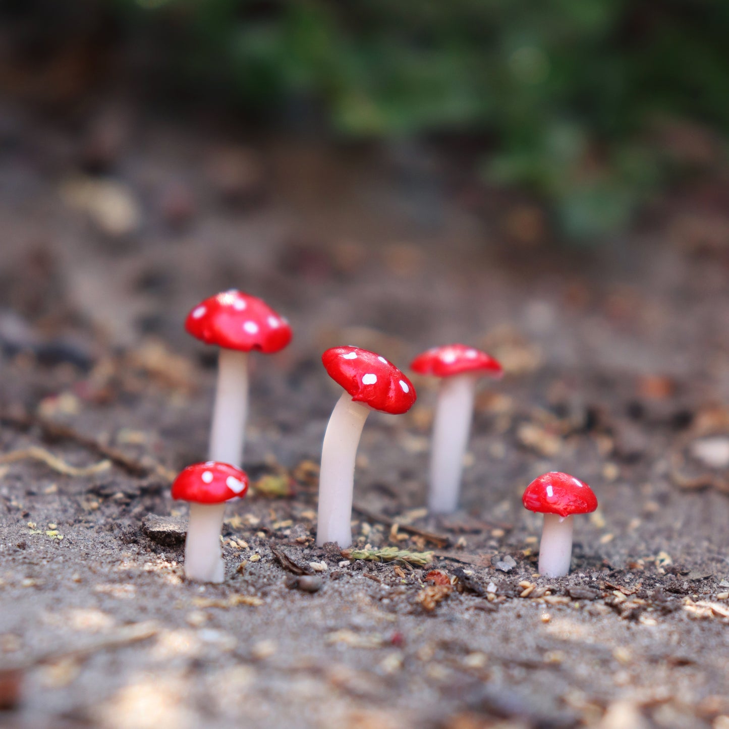 Mini Fly Agaric Mushroom Pick Set
