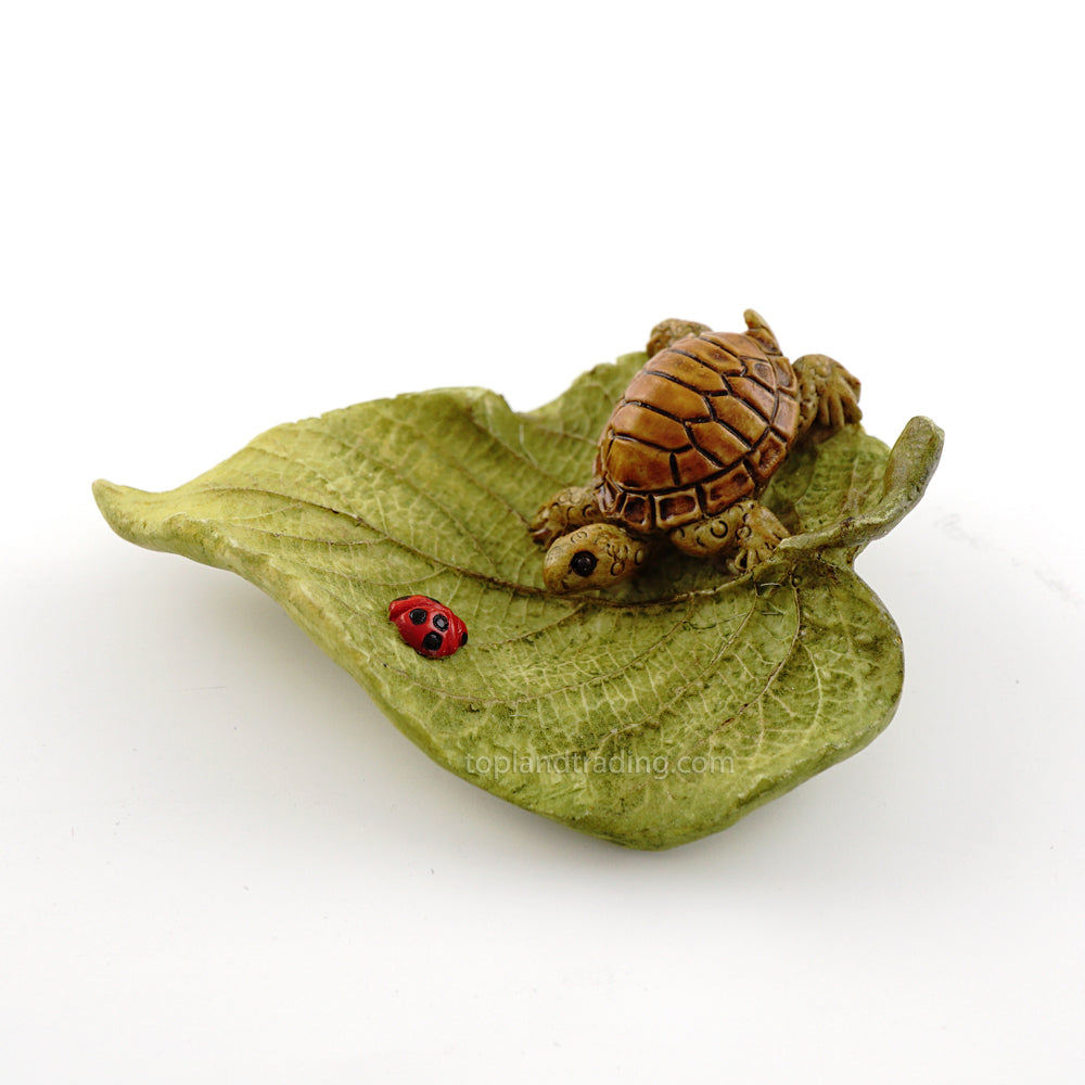 Turtle on a Leaf