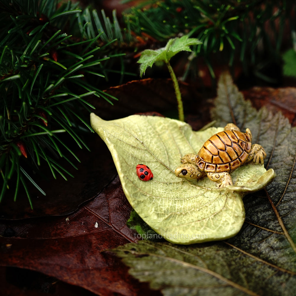 Turtle on a Leaf