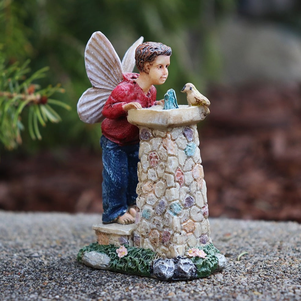 Fairy Boy Shane