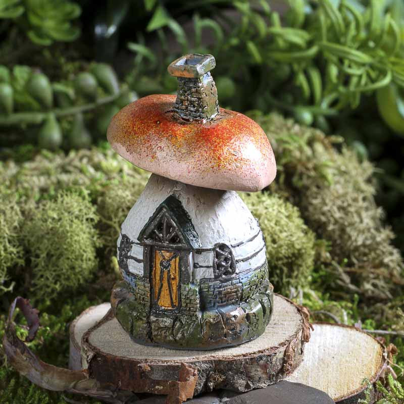 Micro Mushroom House