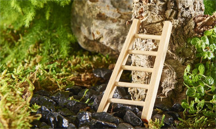 Wood Ladder