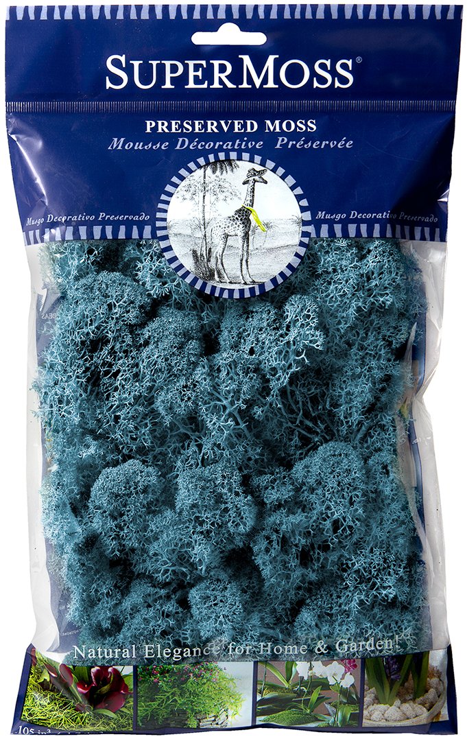 Aqua Reindeer Moss