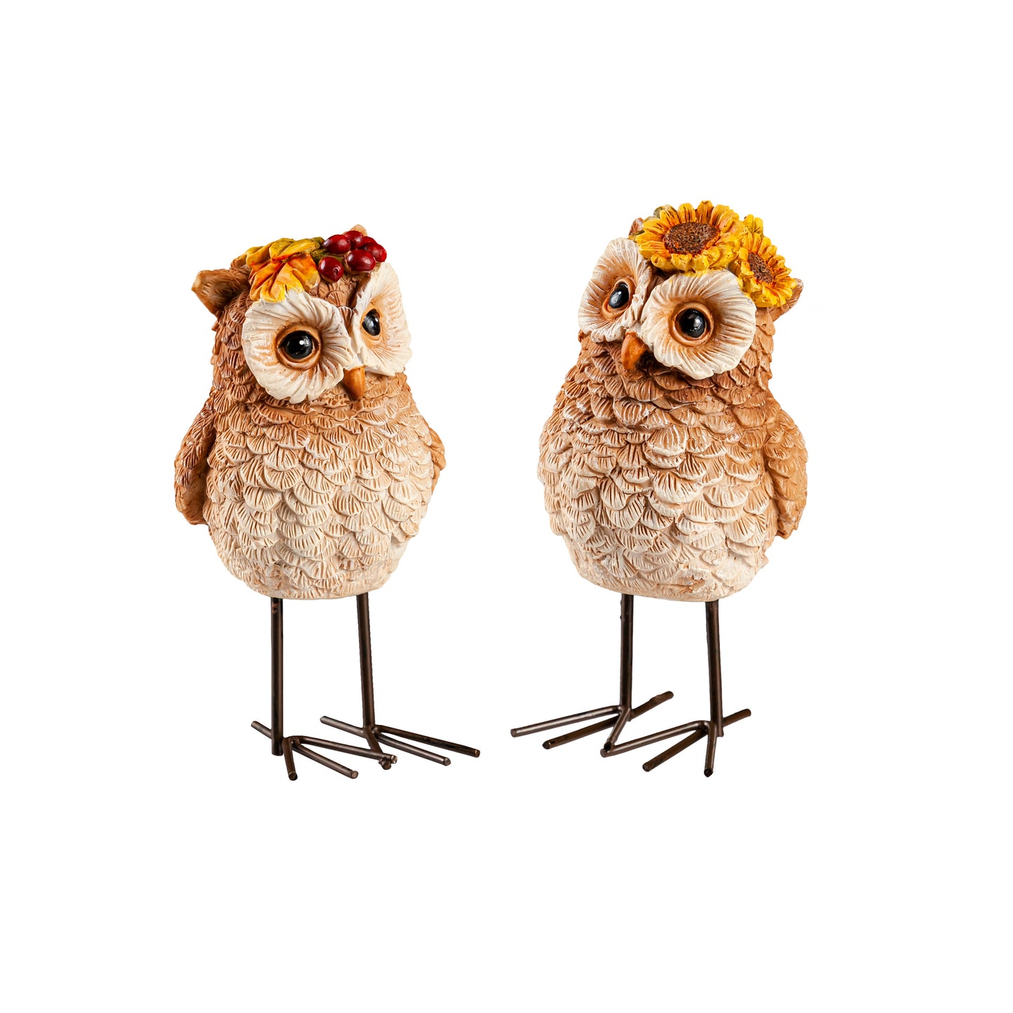 Autumn Owl