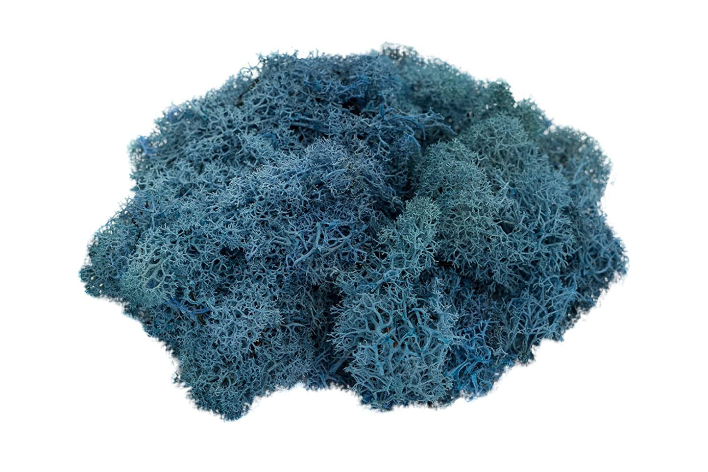 Aqua Reindeer Moss