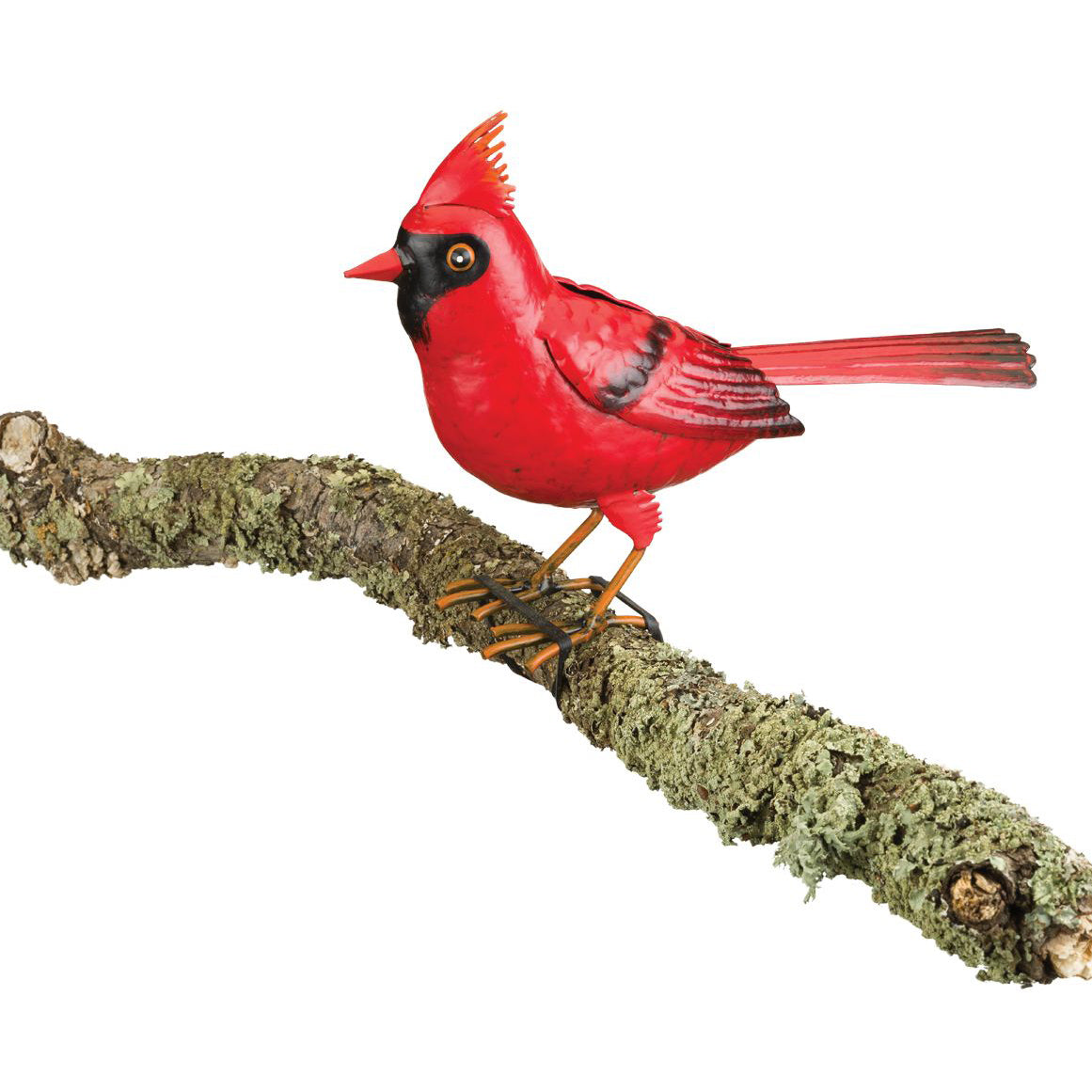 Cardinal Decor