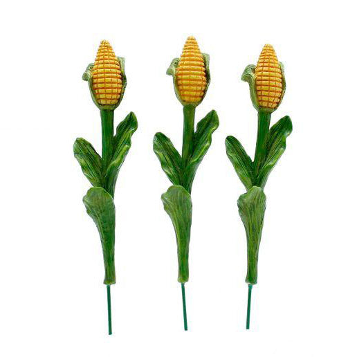 Corn Stalk