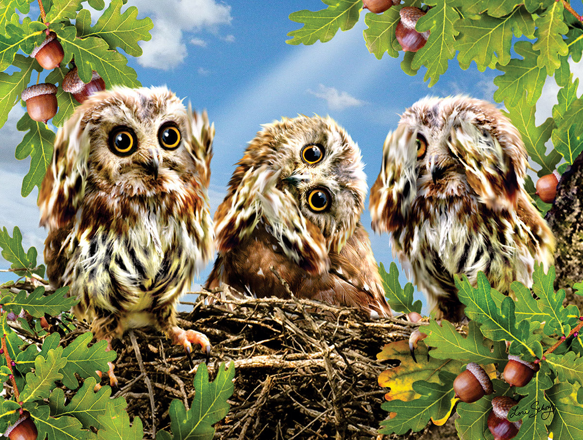 Hear No Speak No See No Jigsaw Puzzle - 300 pc