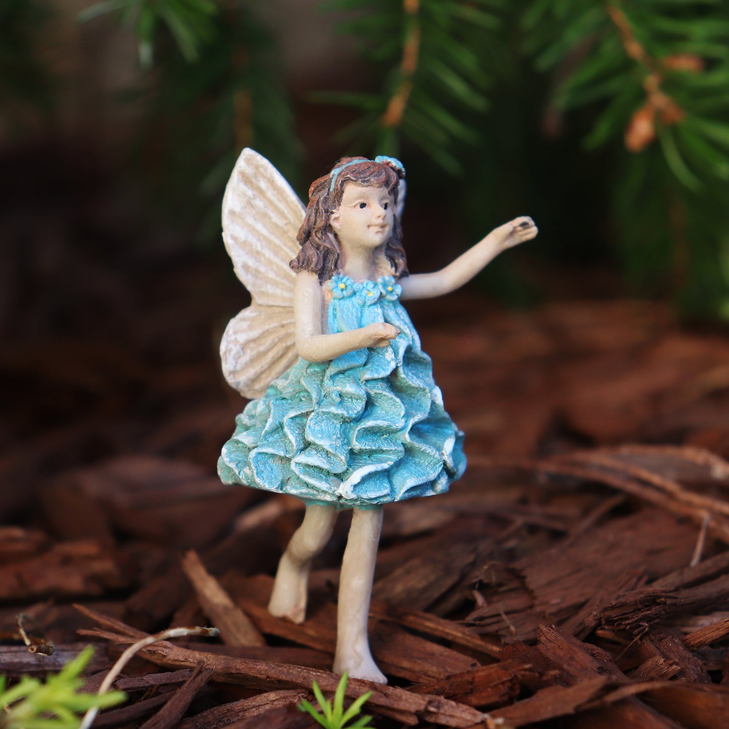 Fairy Heather