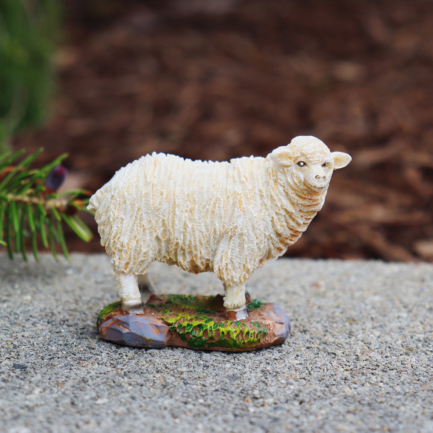 Sheep