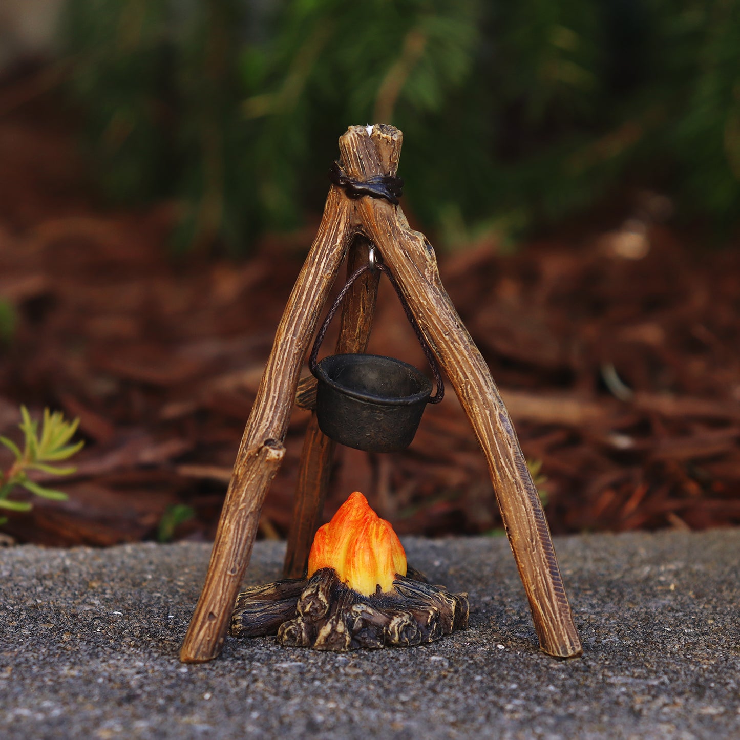 Campfire Cookout