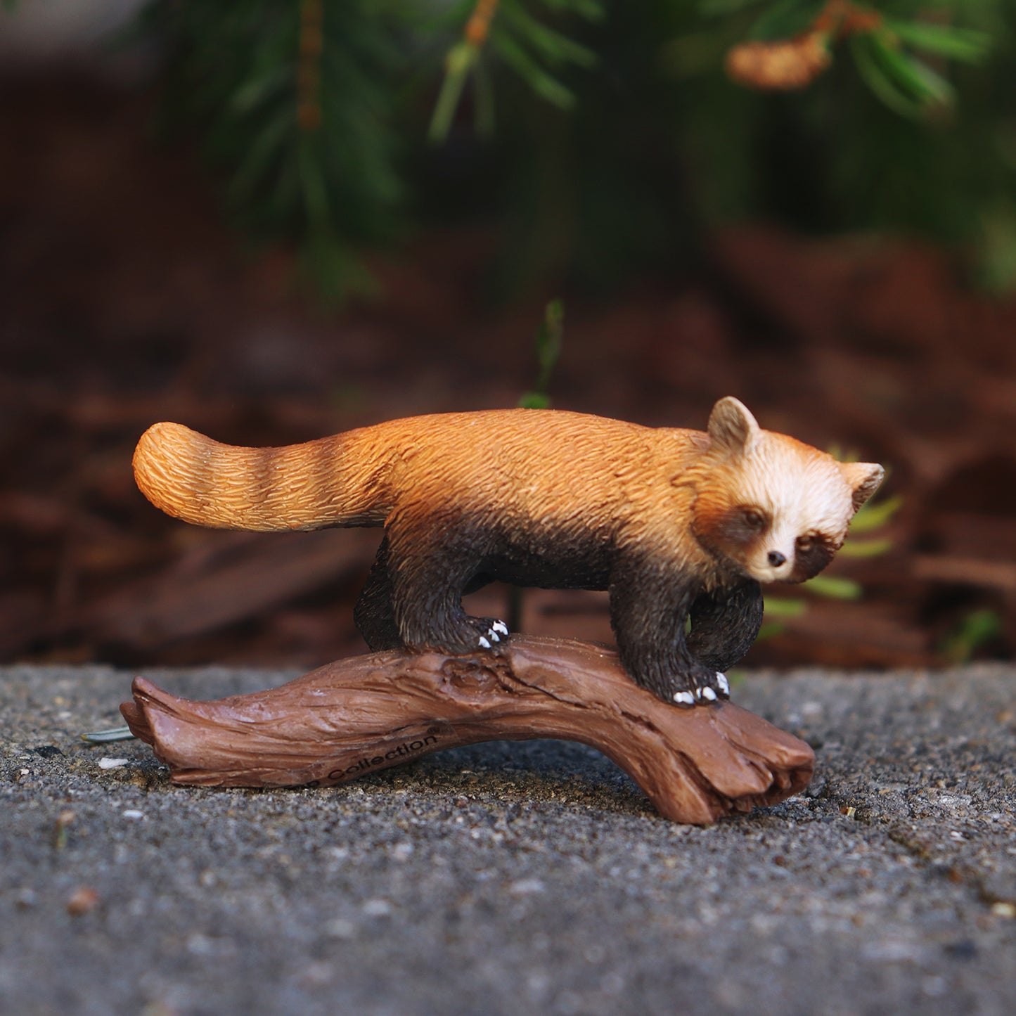 Red Panda on Branch