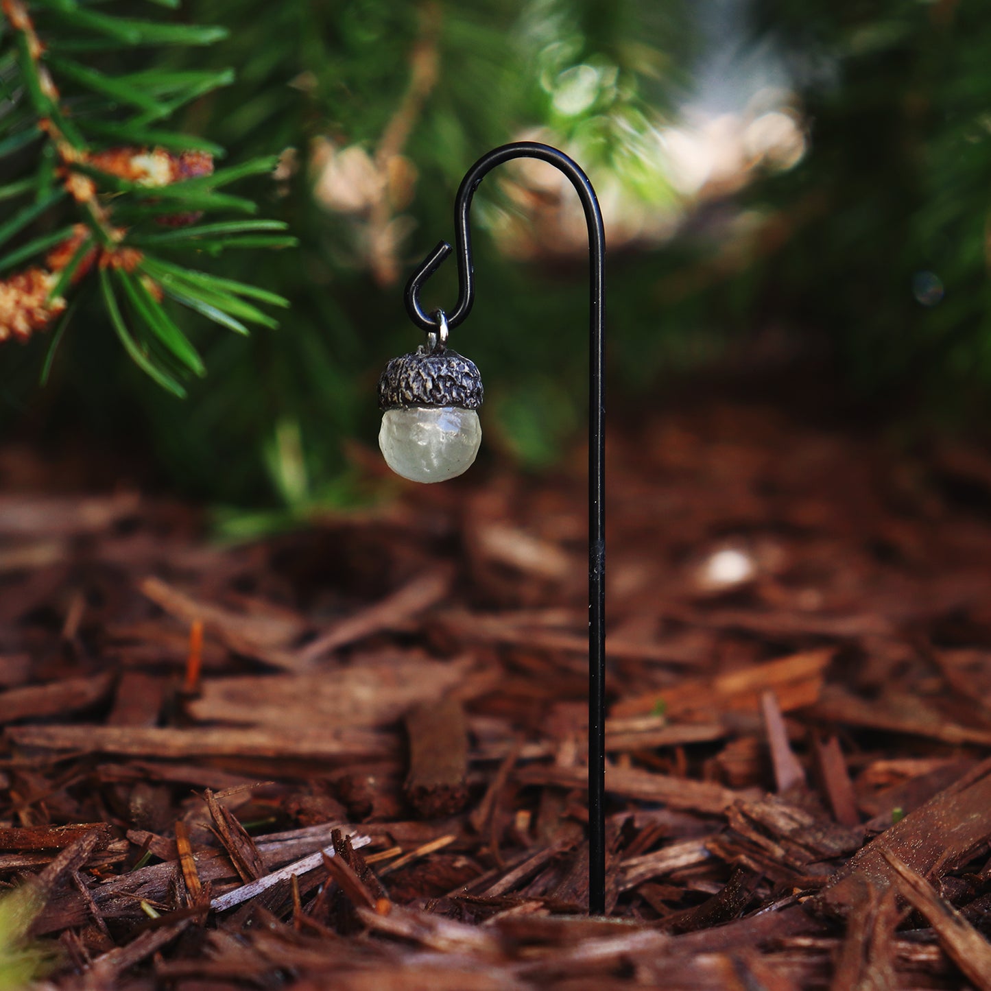 Glowing Acorn Lantern