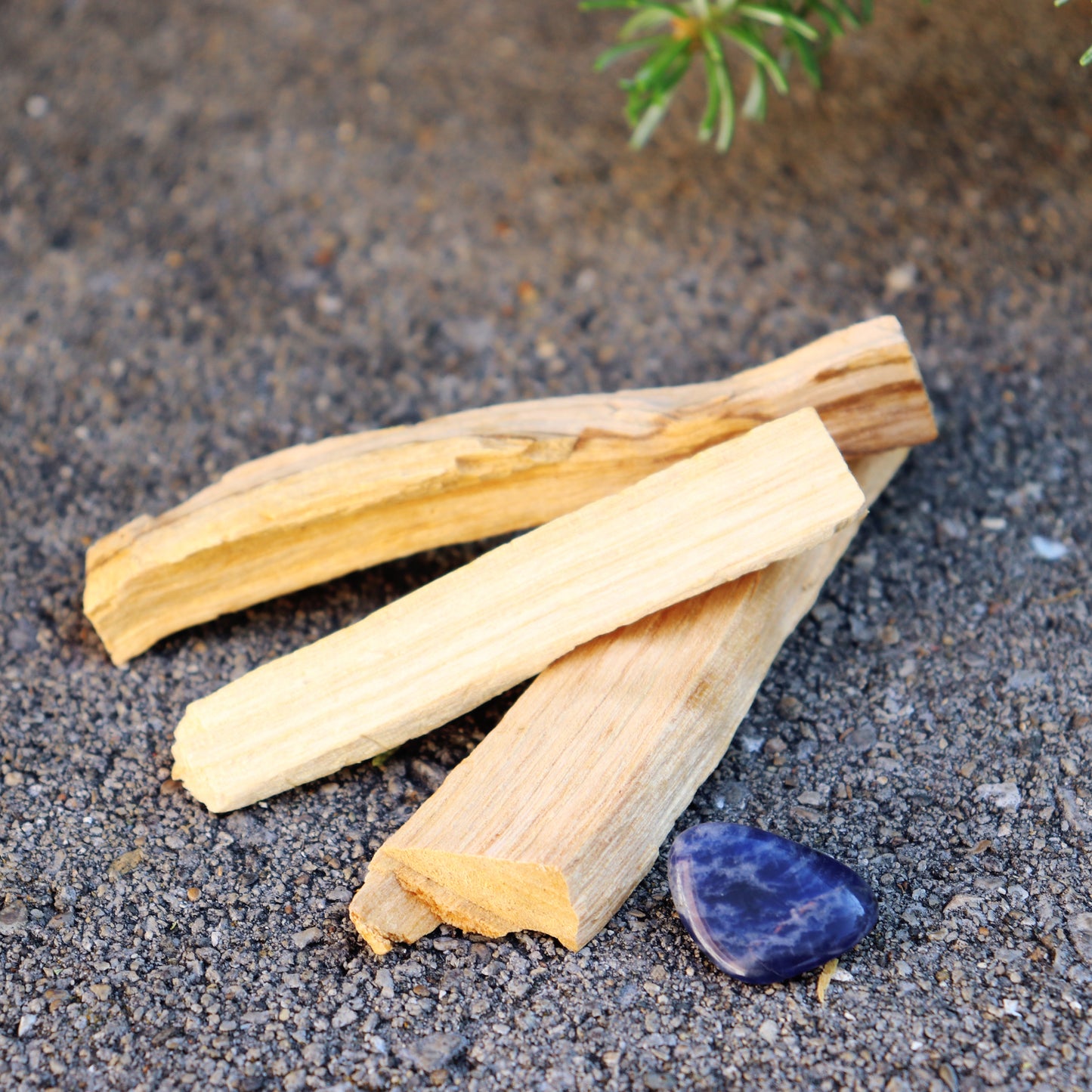 Palo Santo with Sodalite Stone