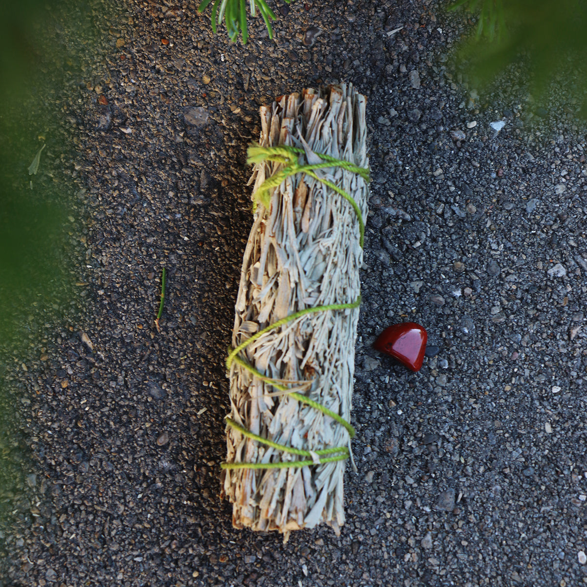 Blue Sage Smudge with Red Jasper