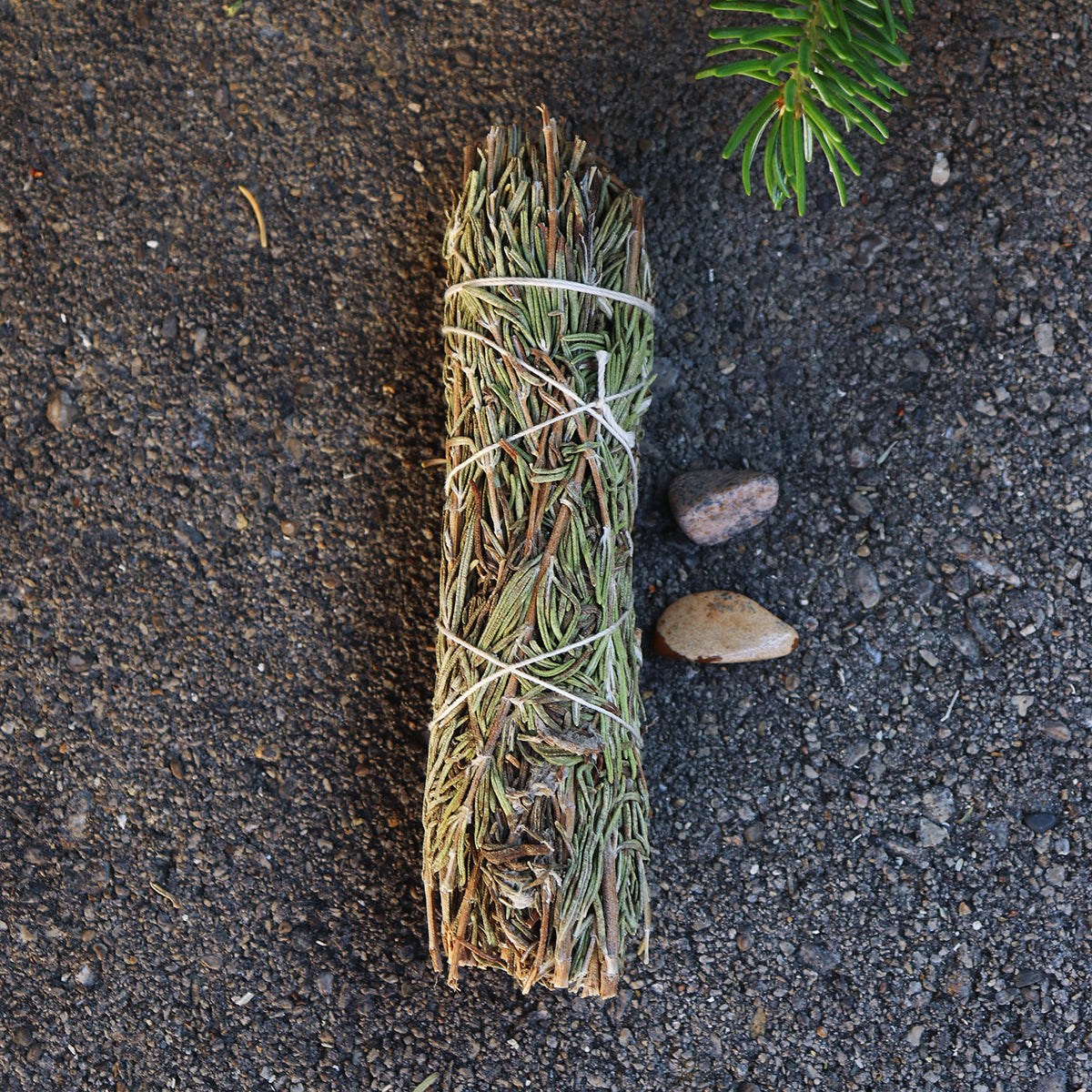 Mountain Sage Smudge with Jasper