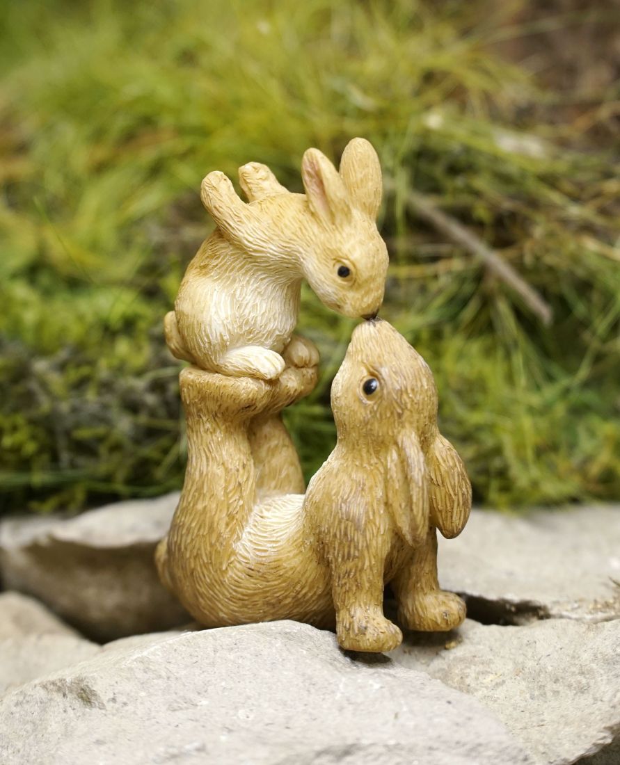 Bunnies Nose to Nose