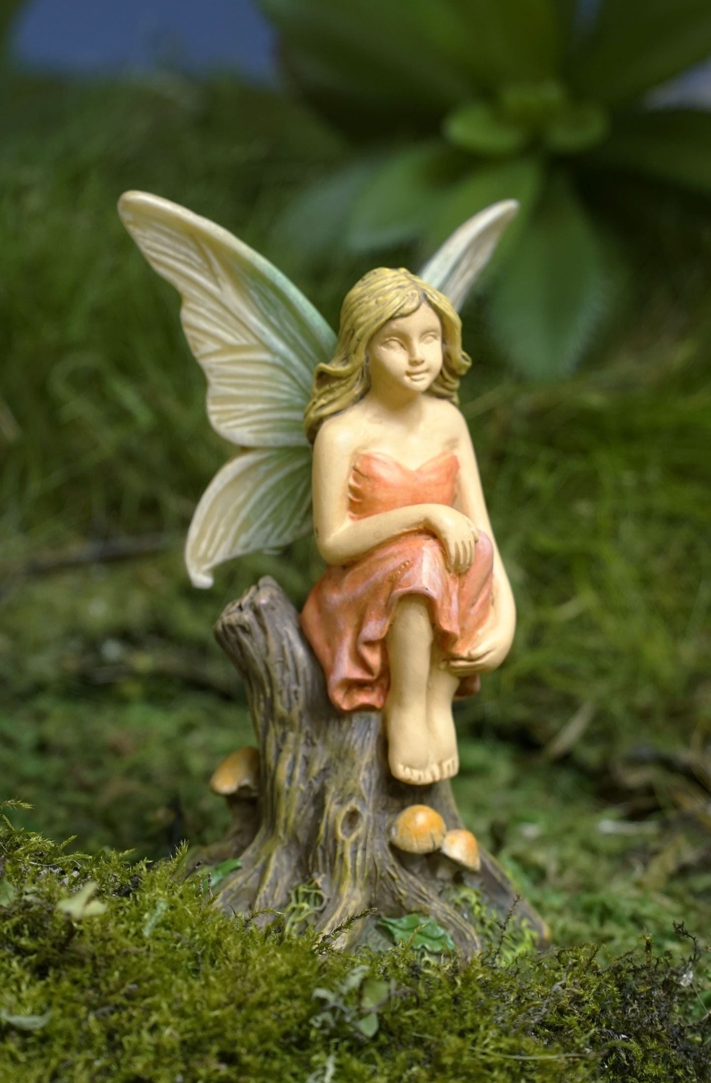 Fairy Reflecting