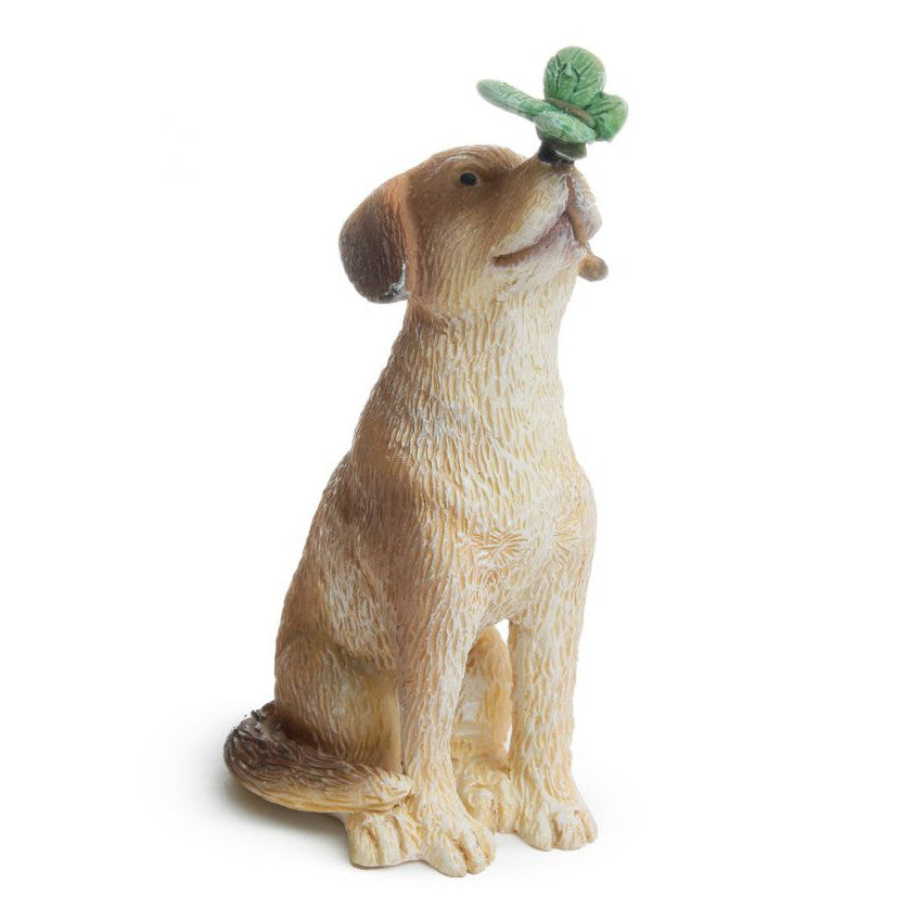 Dog with Butterfly