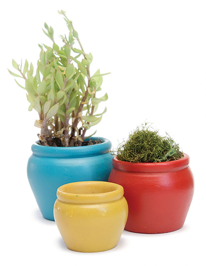 Bright Flower Pots