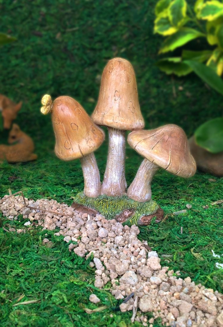 Forest Mushrooms