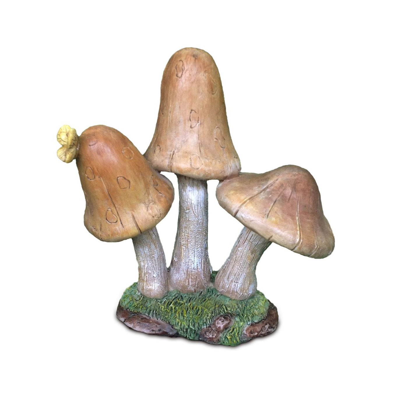 Forest Mushrooms