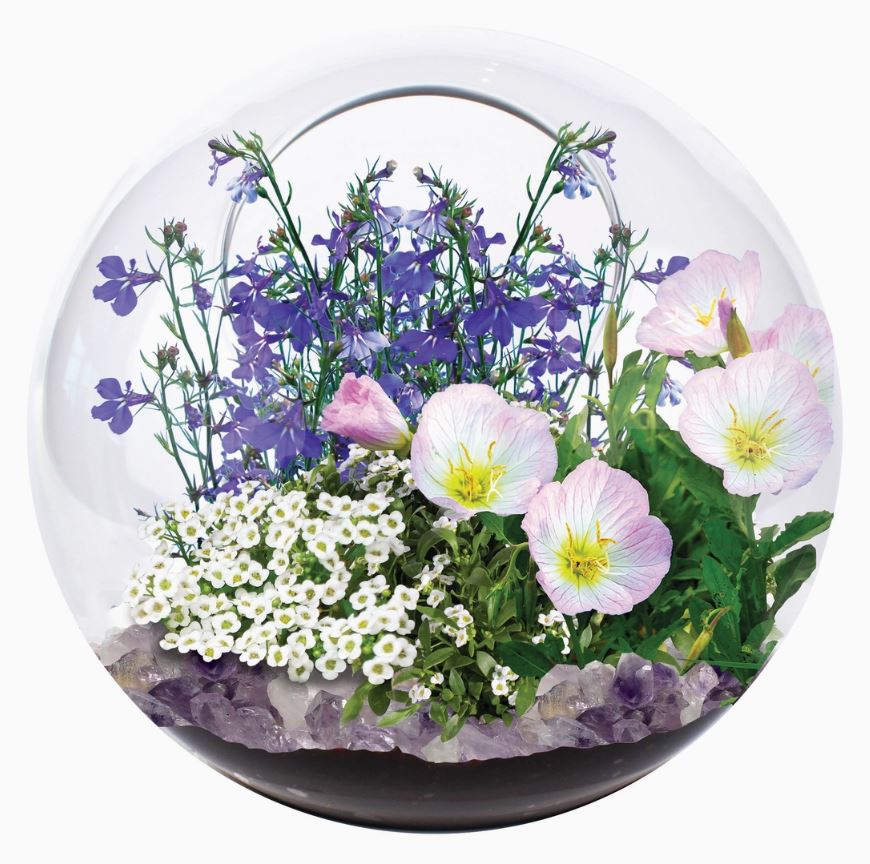 Mini Fairy Triad Glass Terrarium