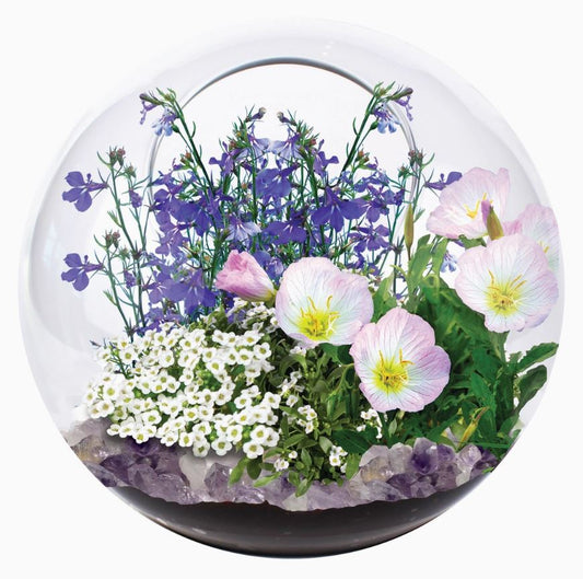 Mini Fairy Triad Glass Terrarium
