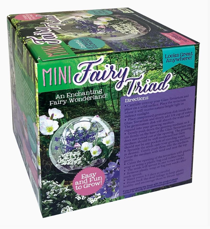 Mini Fairy Triad Glass Terrarium