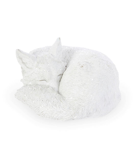 Sleeping Artic Fox