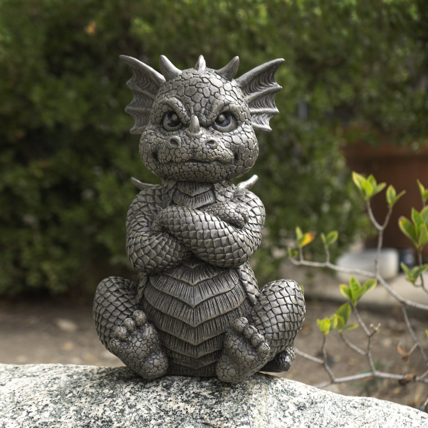 Angry Garden Dragon