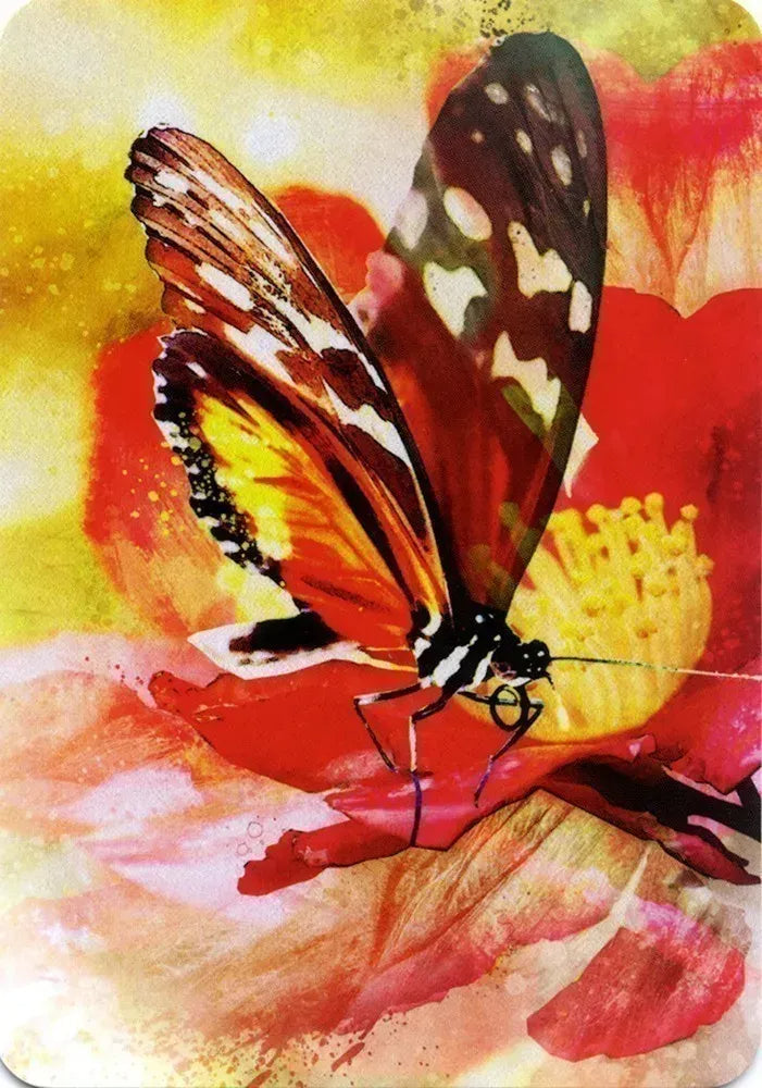 Butterfly Affirmations Oracle Cards