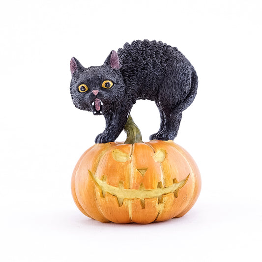 Miniature Black Cat on Jack-O-Lantern