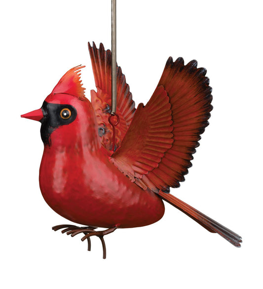 Cardinal Bouncie