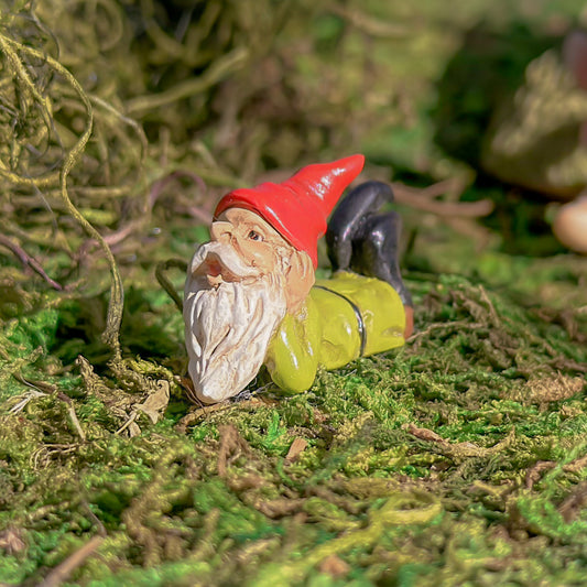 Day Dream Micro Gnome