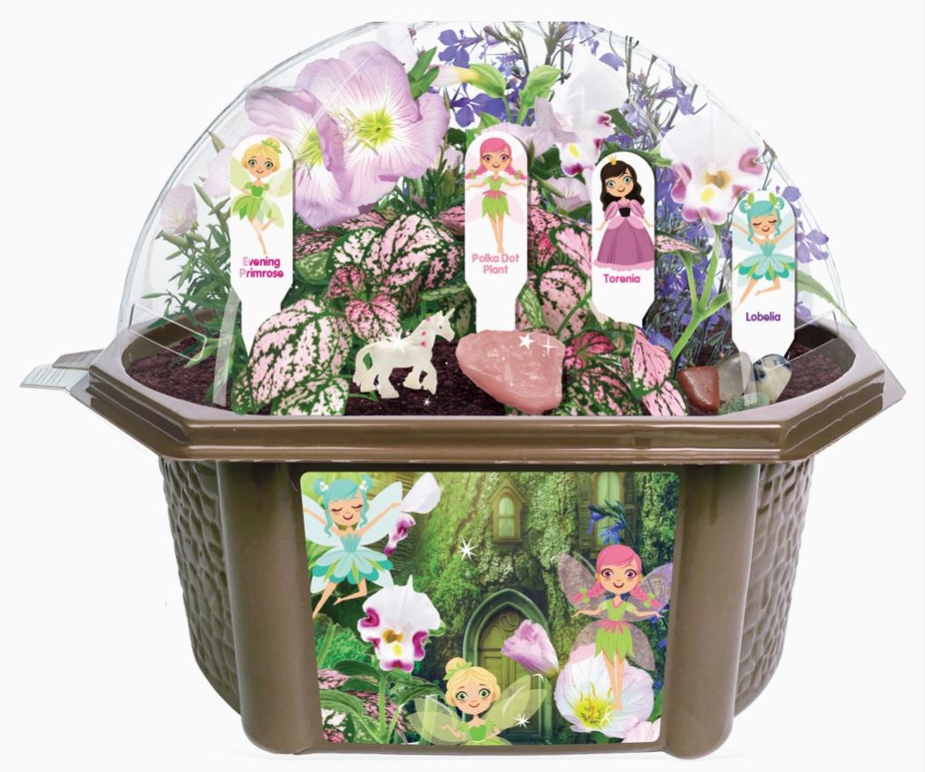 Fanciful Fairy Garden Terrarium Kit