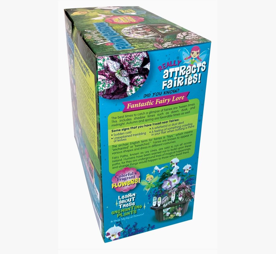 Fanciful Fairy Garden Terrarium Kit