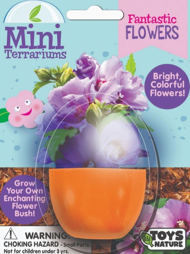 Rose of Sharon Mini Terrarium