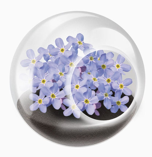 Flower Tiny Terrarium