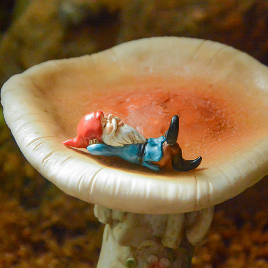 Relaxing Gnome